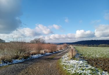 Tour Wandern Rochefort - wavreille - Photo