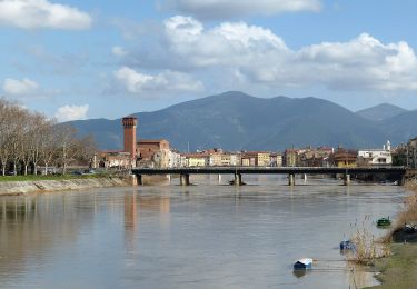 Trail On foot Pisa - Sentiero dei Navicelli - Photo