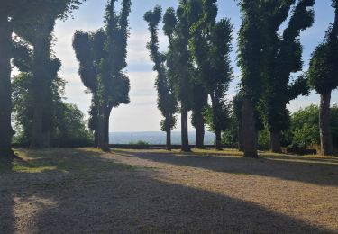 Tocht Wegfiets Saulny - szy - Photo