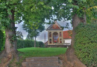 Tour Zu Fuß Kumberg - Wanderweg 3 - Photo