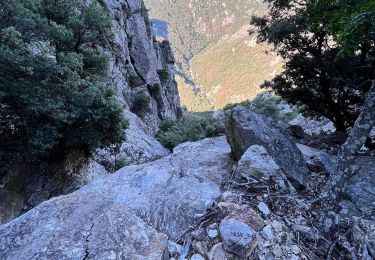 Trail Walking Mons - Ravin des Charbonniers - Caroux - Photo