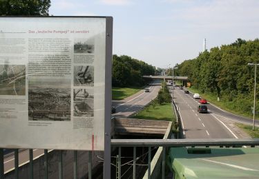 Percorso A piedi Sconosciuto - Das neue Frankfurt - Photo