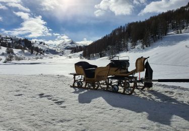 Randonnée Raquettes à neige Vars - Fontbonne - Col de Vars A/R - Photo