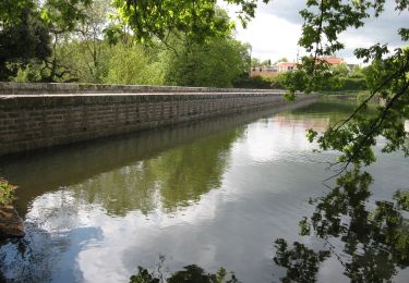 Randonnée A pied Joué-sur-Erdre - Lac de Vioreau - Photo