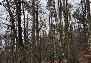 Excursión Senderismo Durbuy - Marche Adeps Oppagne - Photo