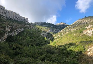 Tour Wandern Roquevaire - Le Garlaban - Photo