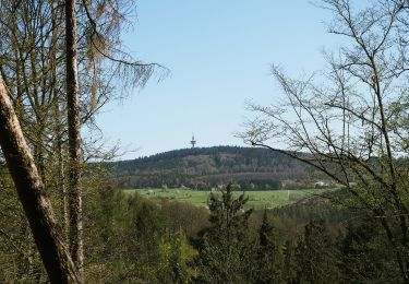 Tocht Te voet Taunusstein - Rundwanderweg Forelle - Photo