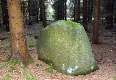 Tocht Te voet Arnsdorf - Grüner Punkt, Arnsdorf - Karswald - Photo