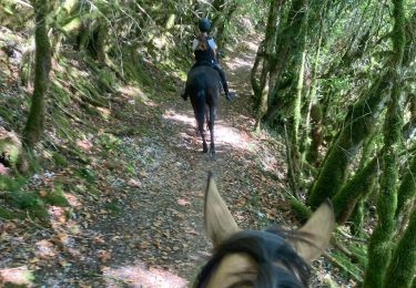 Tour sport La Tour-du-Meix - Vouglan camping Tivio  - Photo
