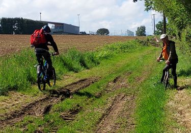 Trail Mountain bike Ger - balisage 14 20249 - Photo