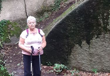 Tour Wandern Perros-Guirec - vallée de  Traouiero - Photo