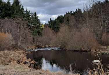 Tour Wandern Mazet-Saint-Voy - Salettes et Mazalibran - Photo