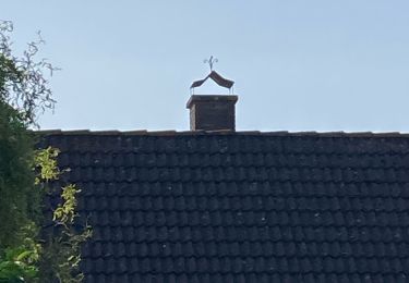 Tocht Elektrische fiets Gent - Registratie op 15/6/25 - Photo