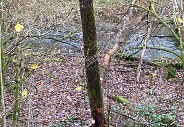Tour Wandern Rochefort - Montgauthier - Photo