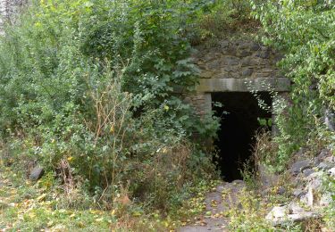 Tour Zu Fuß Tschernoschin - [Ž] Pod Třebelí - Volfštejn - Černošín - Krasíkov - Photo