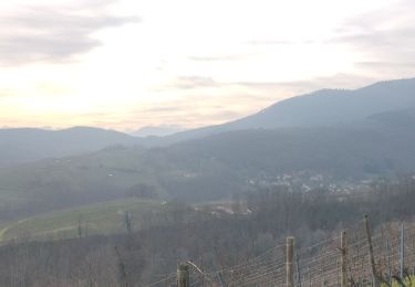 Percorso Marcia Reichsfeld - 2019-12-28 Marche Reichsfeld Ungersberg Gruckert - Photo