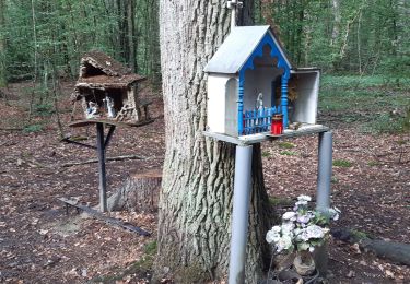 Tour Wandern Durbuy - gare biron  bois de petithan ac - Photo