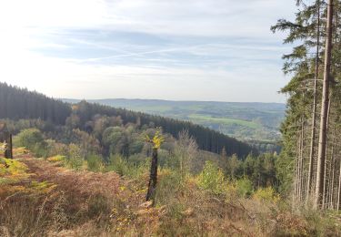 Trail Walking Trois-Ponts - brume 2 - Photo