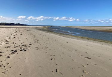 Tocht Stappen Hillion - Chemin Cotier  - Photo