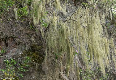 Excursión Senderismo La Orotava - Aire récréative La Caldera Orotava Ténérife - Photo