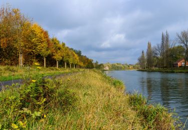Trail Walking Braine-le-Comte - RL-GG-23 - Hennuyères - Nivelles - 2025-05-19 - Photo