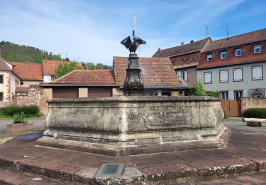 Trail Walking Neuwiller-lès-Saverne - Neuwiller-les-Saverne : la Tête du Christ - châteaux du Hunebourg, du Warthenberg et du Herrenstein - Photo