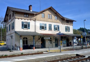 Percorso A piedi Blaustein - Nebenweg des Schwäbischen Albvereins (rote Gabel) - Photo