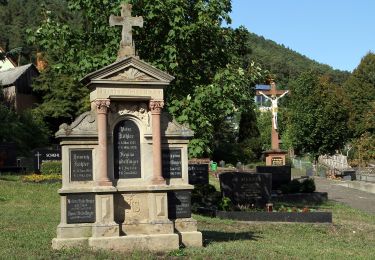 Tour Zu Fuß Busenberg - Eichelberg-Tour - Photo