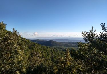 Tocht Stappen Aups - Tour de la montagne des Espiguières - Photo