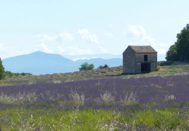 Tour Wandern Chantemerle-lès-Grignan - Chantemerle Les crevasses 8km - Photo