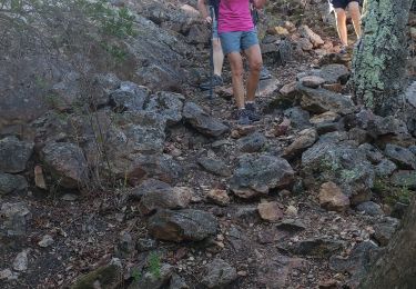 Tour Wandern Bagnols-en-Forêt - Le pic de la Gardiette par Jacky - Photo