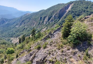 Randonnée Marche nordique Digne-les-Bains - digne/andran/darau/dalle aux amonites - Photo