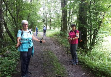 Tocht Noords wandelen Saint-Paul-de-Varces - Circuit Saint Paul De  Varces - Photo