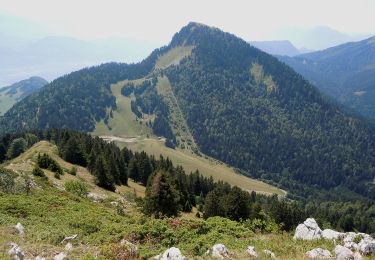 Trail On foot Plateau-des-Petites-Roches - Tour de Pravouta - Photo