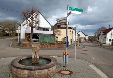 Tour Wandern Blieskastel - Brenschelbach (D) 7 km 230225 - Photo