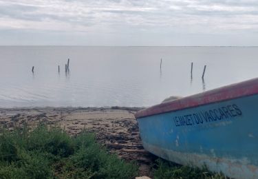 Excursión Paseo ecuestre Arles - 2019-05-02 Rando CVA Camargue Albaron Maguelonne - Photo