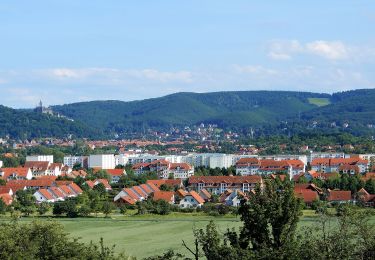 Randonnée A pied Wernigerode - Nordroute - Photo