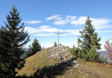 Randonnée A pied Gemeinde Türnitz - Wanderweg 35 - Photo