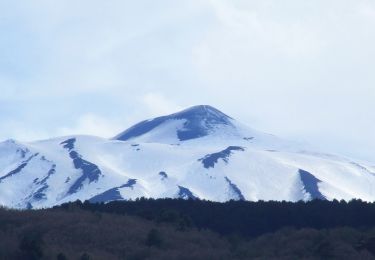 Excursión A pie Adrano - Passo Zingaro - Sentiero 708 - Photo