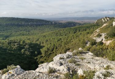 Trail Walking Thézan-des-Corbières - Cirque Viviès plateau Poursan - Photo