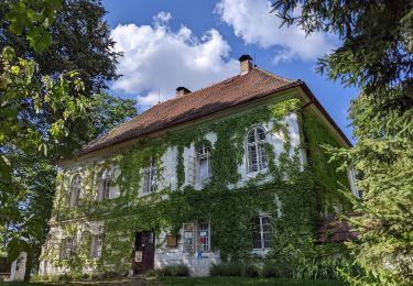 Tocht Te voet Běleč - NS Kolem hradu Šelmberk - Photo