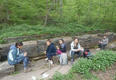 Trail Walking Balbronn - lavoir - Photo