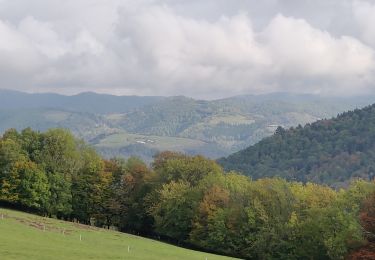 Trail Horseback riding Aubure - 2020-10-17 Rando CVA Aubure Climont - Photo