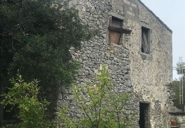 Randonnée Marche Pompignan - Le bois de Monnier - Photo