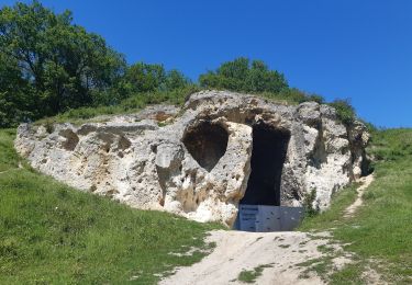 Randonnée Marche Riemst - tour de la montagne st pierre - Photo