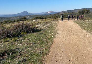 Excursión Senderismo Guzargues - St Hypolite  - Photo