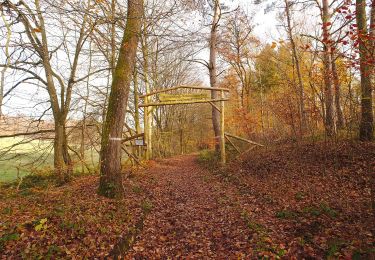 Trail On foot Saarwellingen - Mühlenbach-Schluchten-Tour - Photo