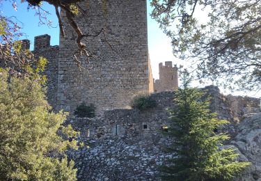 Tocht Stappen la Jonquera - 20230112 Site mégalithique- château Requesens  - Photo