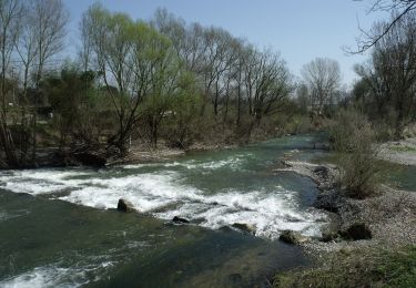 Percorso A piedi Borgo San Lorenzo - Sorgenti di Firenze Trekking – Anello Principale: Tappa 8 - Photo