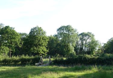 Tocht Te voet Zutendaal - Lieteberg - Papendaalheide Rode driehoek - Photo